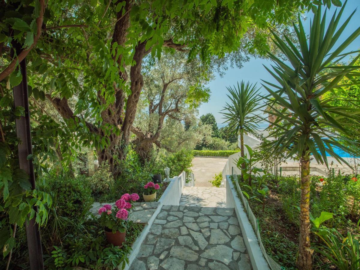The Turtles Garden Villa Becici  Exterior photo